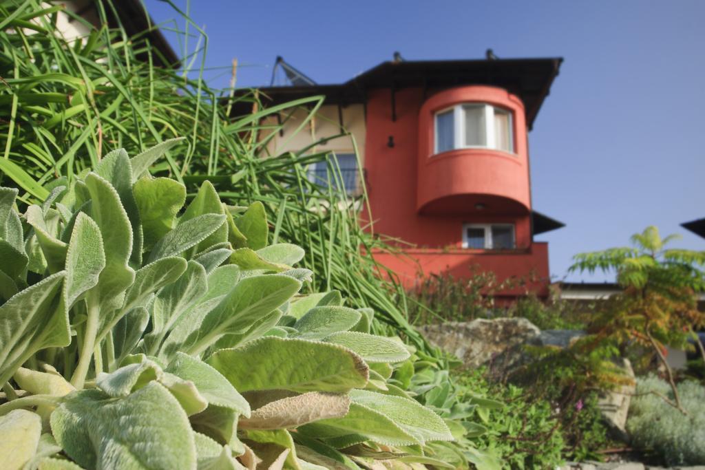 Szonyi Garden Hotel Pest بودابست المظهر الخارجي الصورة