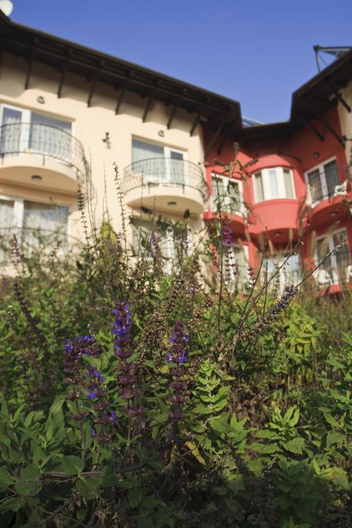 Szonyi Garden Hotel Pest بودابست المظهر الخارجي الصورة