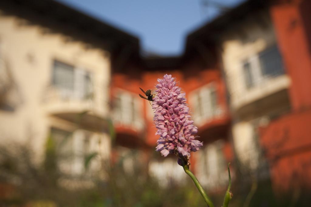 Szonyi Garden Hotel Pest بودابست المظهر الخارجي الصورة